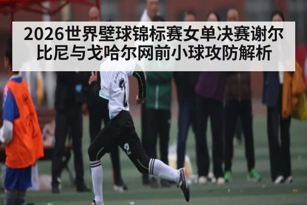 2026世界壁球锦标赛女单决赛谢尔比尼与戈哈尔网前小球攻防解析
